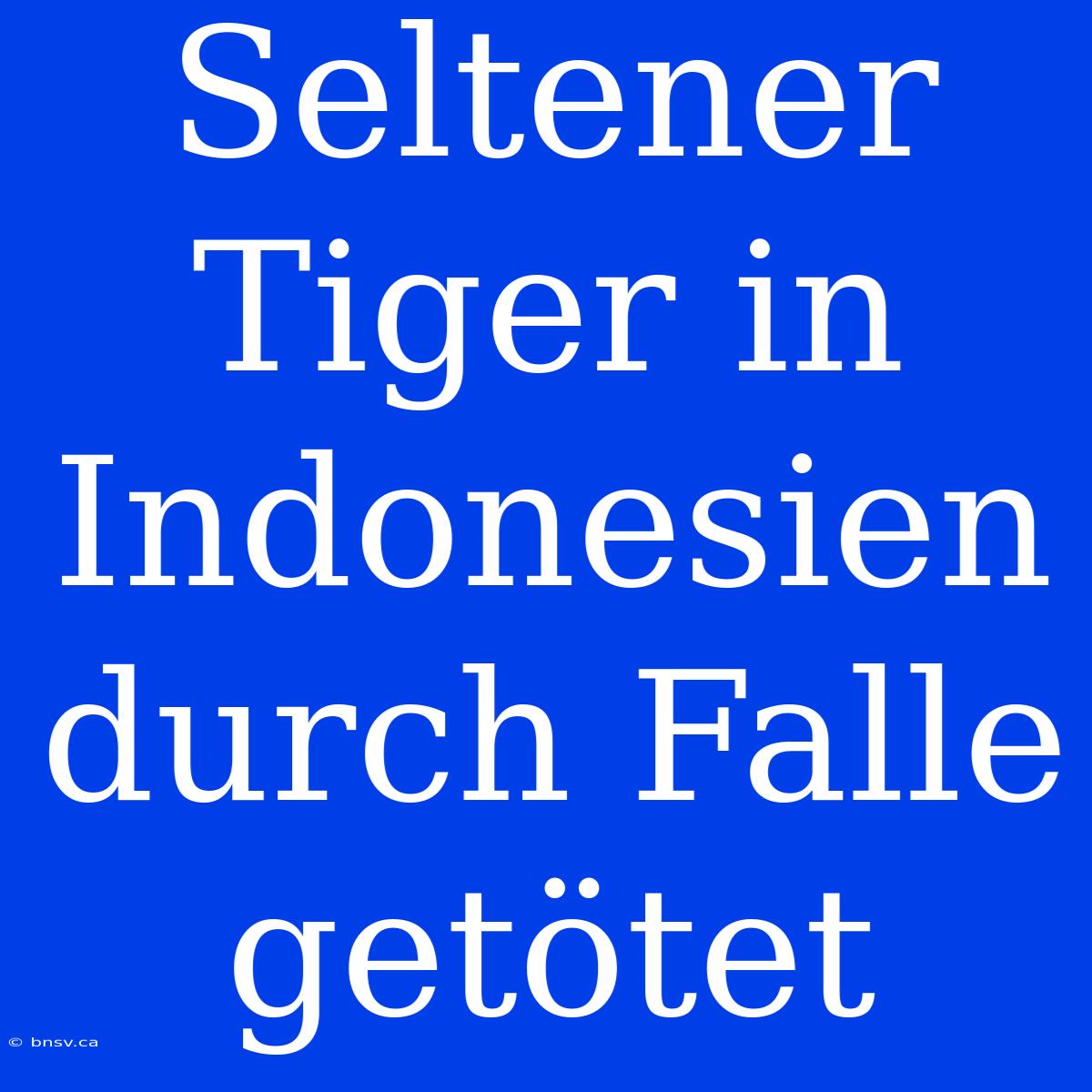 Seltener Tiger In Indonesien Durch Falle Getötet