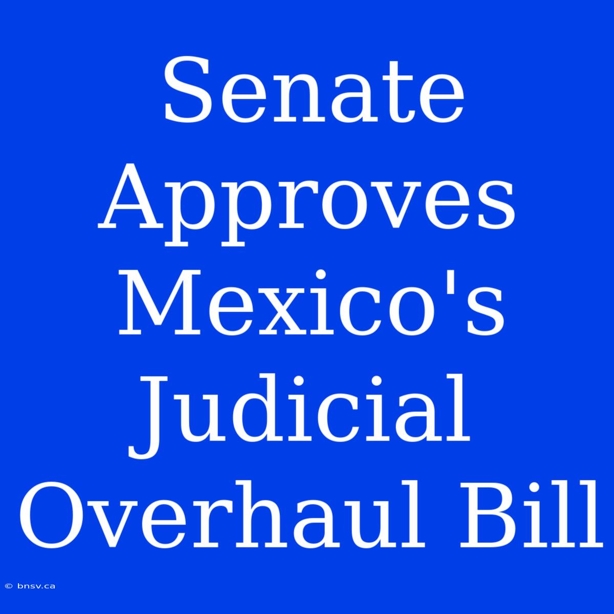 Senate Approves Mexico's Judicial Overhaul Bill