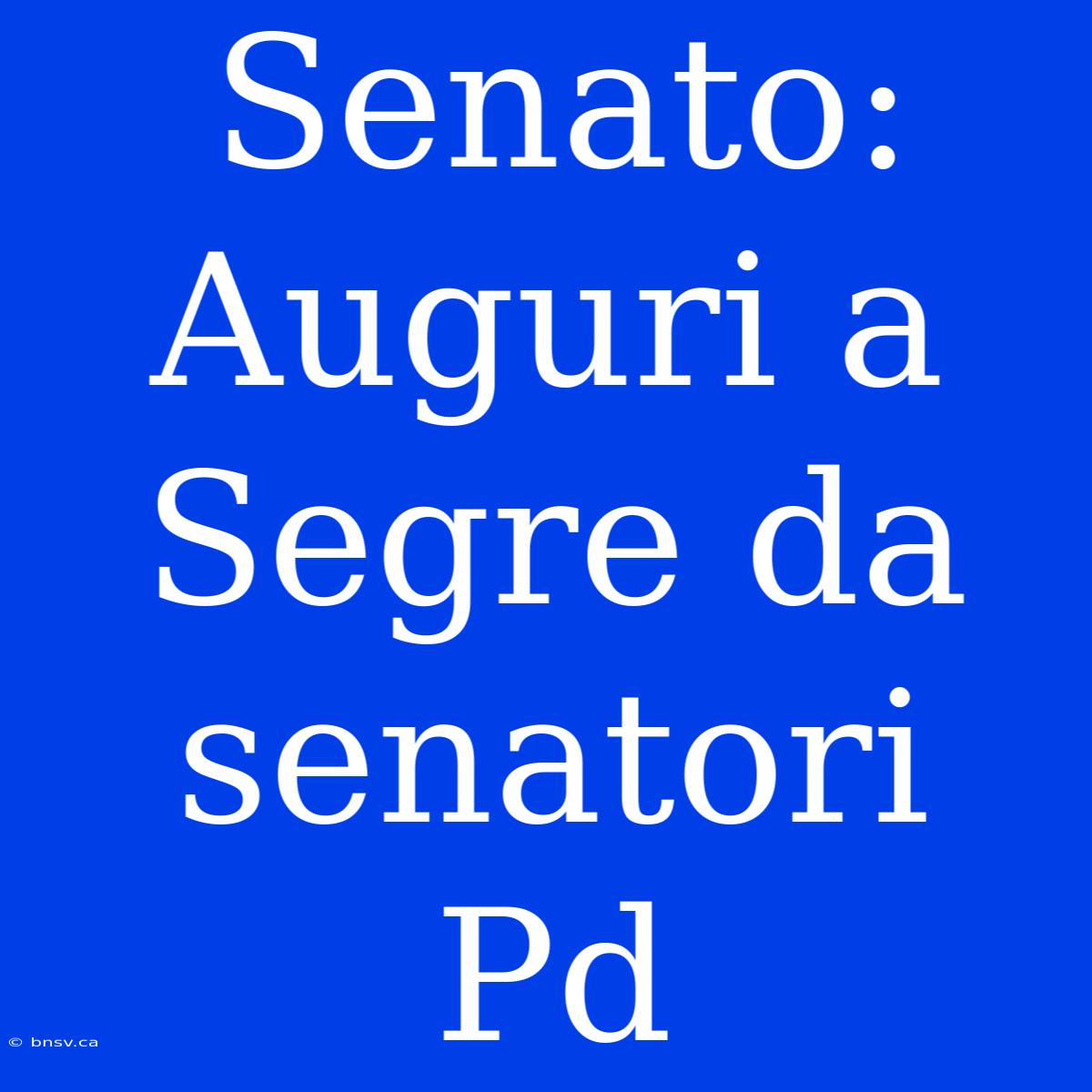 Senato: Auguri A Segre Da Senatori Pd