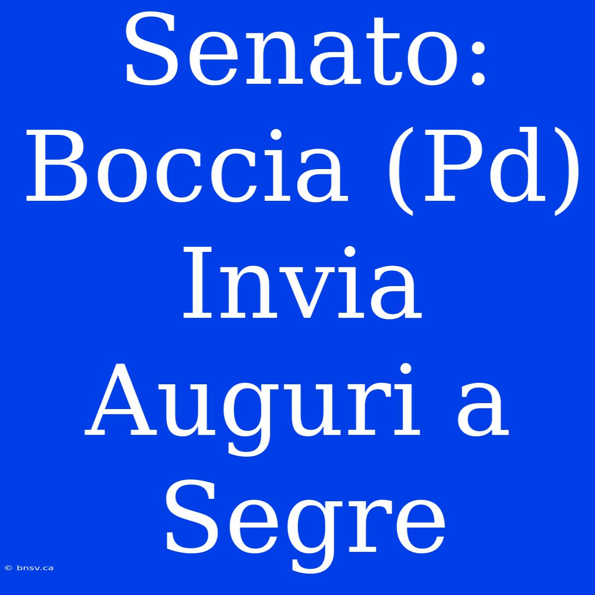 Senato: Boccia (Pd) Invia Auguri A Segre