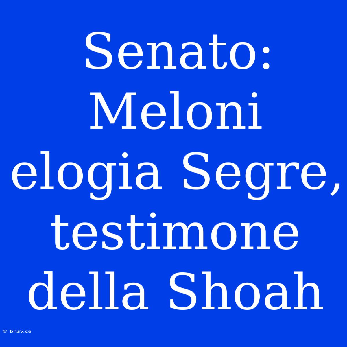 Senato: Meloni Elogia Segre, Testimone Della Shoah