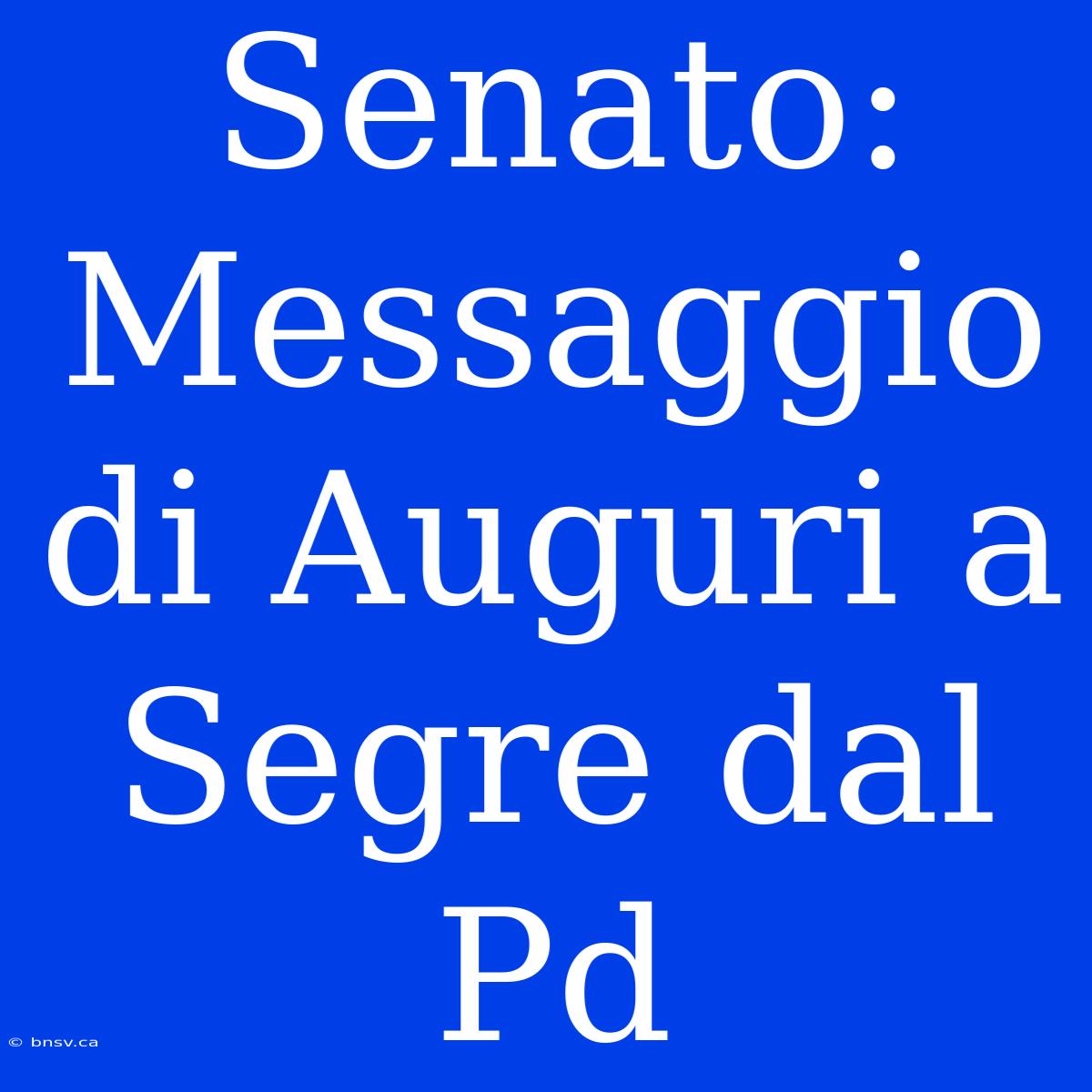 Senato: Messaggio Di Auguri A Segre Dal Pd