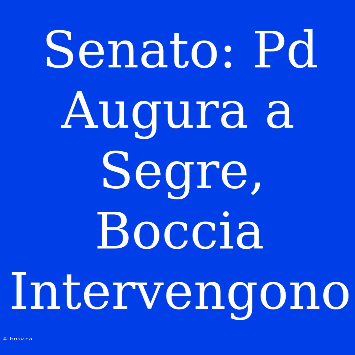 Senato: Pd Augura A Segre, Boccia Intervengono