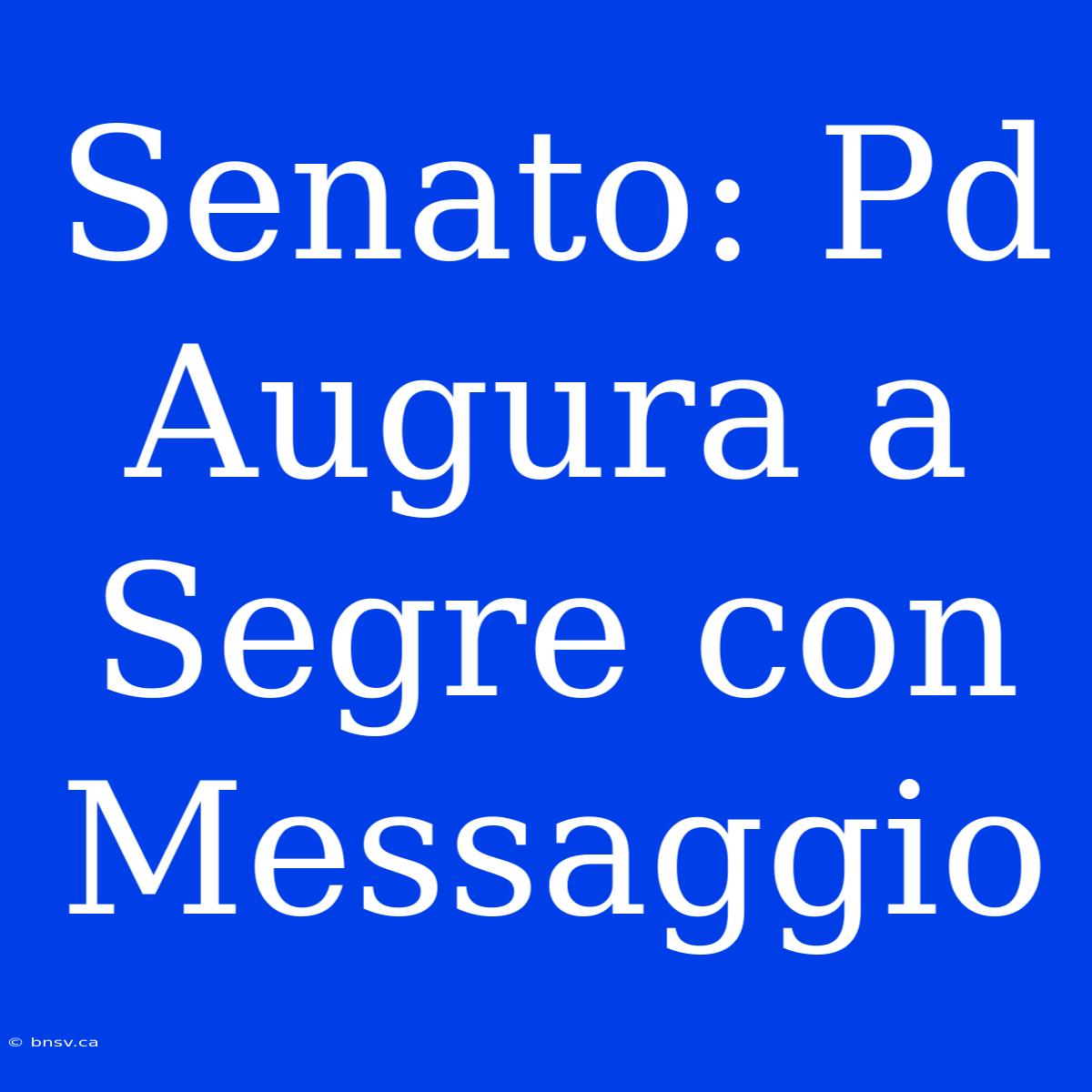 Senato: Pd Augura A Segre Con Messaggio