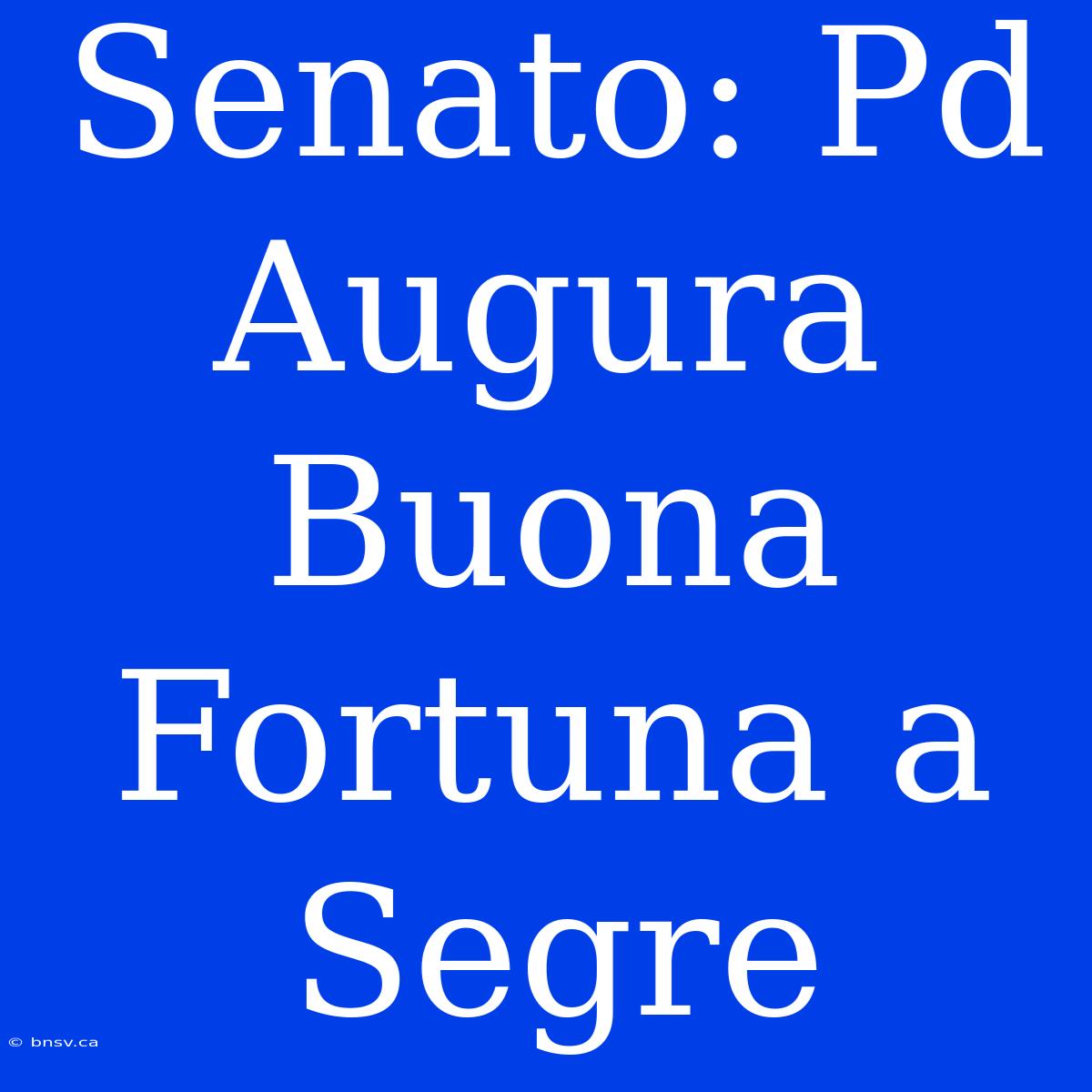 Senato: Pd Augura Buona Fortuna A Segre