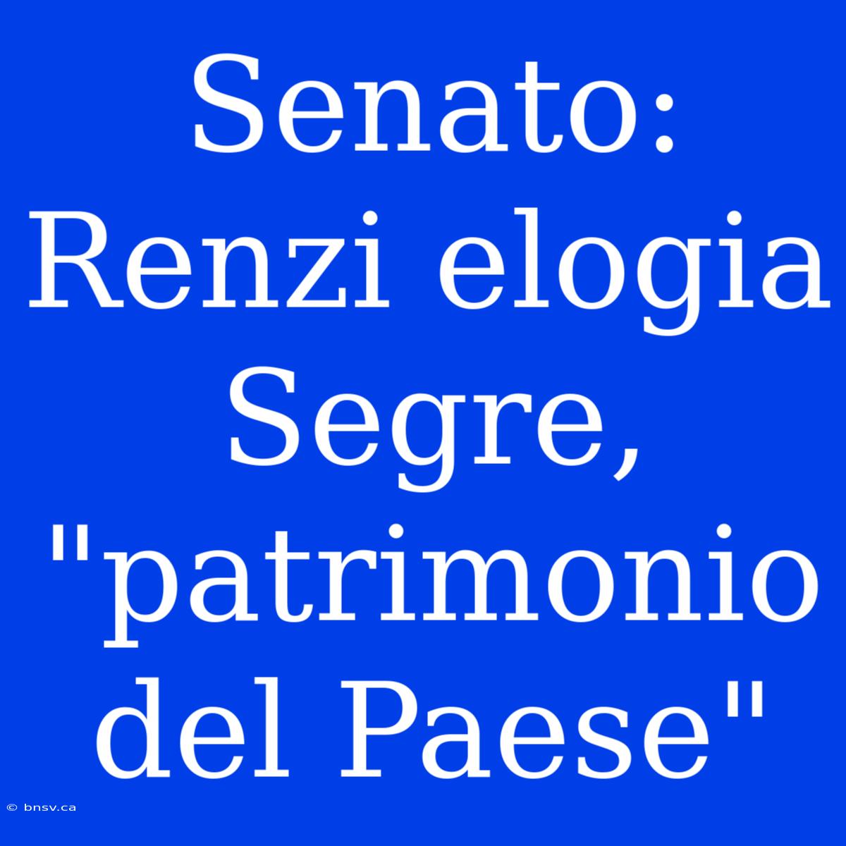 Senato: Renzi Elogia Segre, 