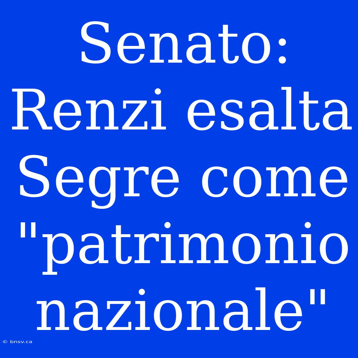 Senato: Renzi Esalta Segre Come 