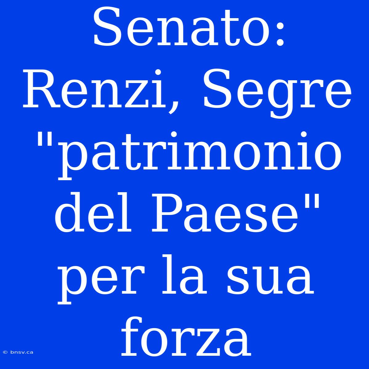 Senato: Renzi, Segre 