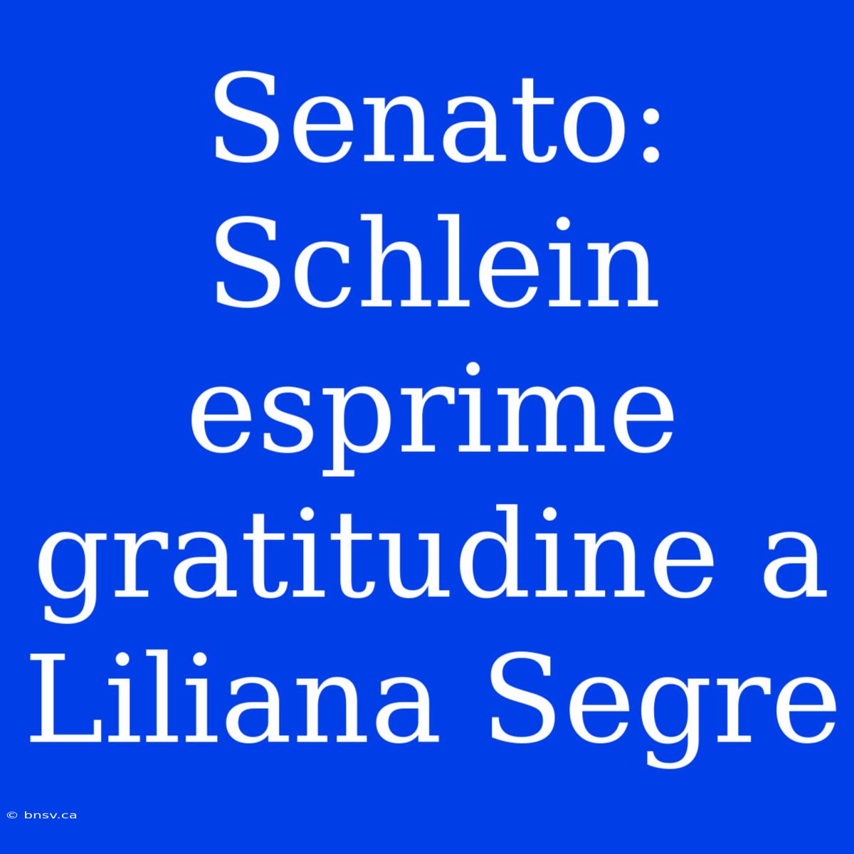 Senato: Schlein Esprime Gratitudine A Liliana Segre