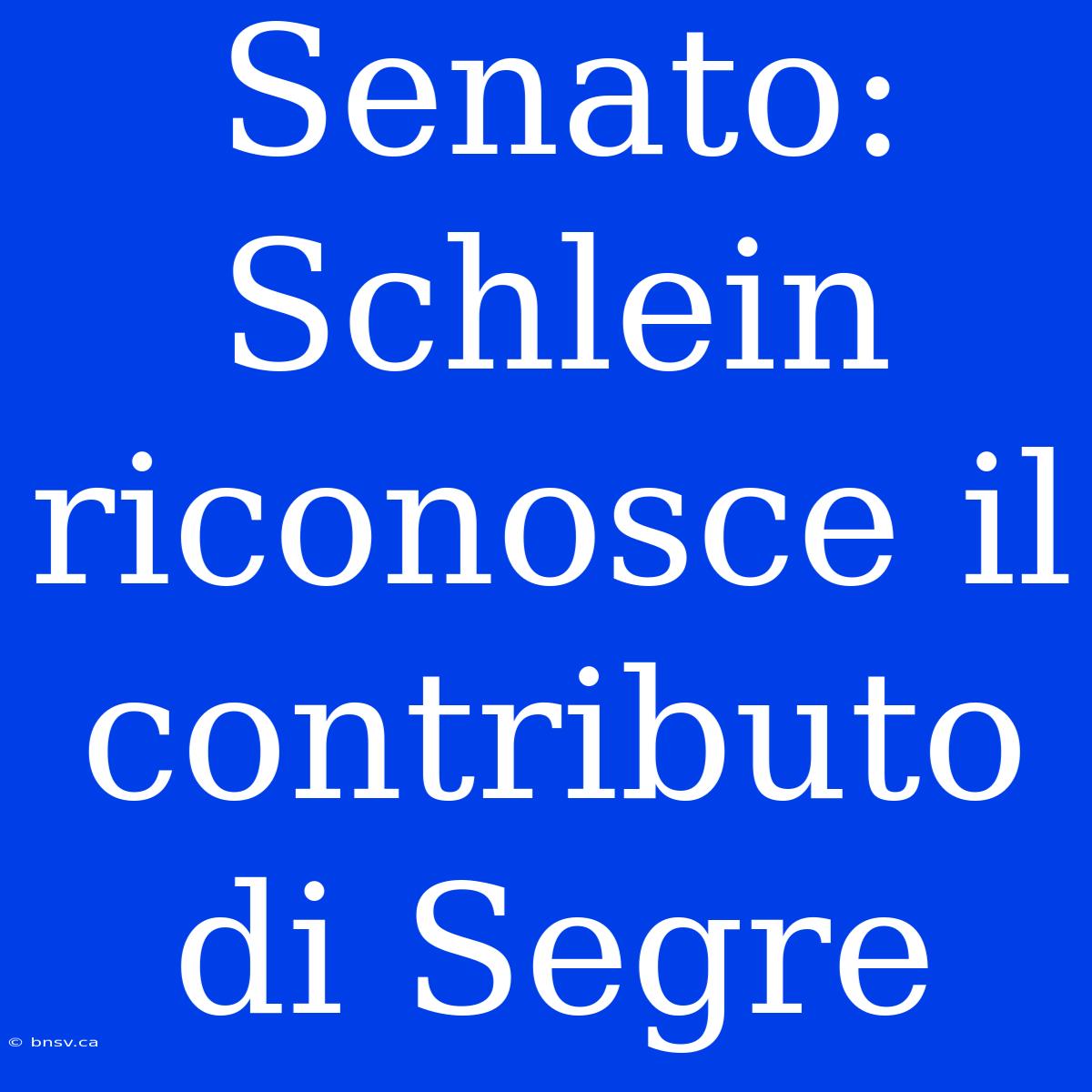 Senato: Schlein Riconosce Il Contributo Di Segre