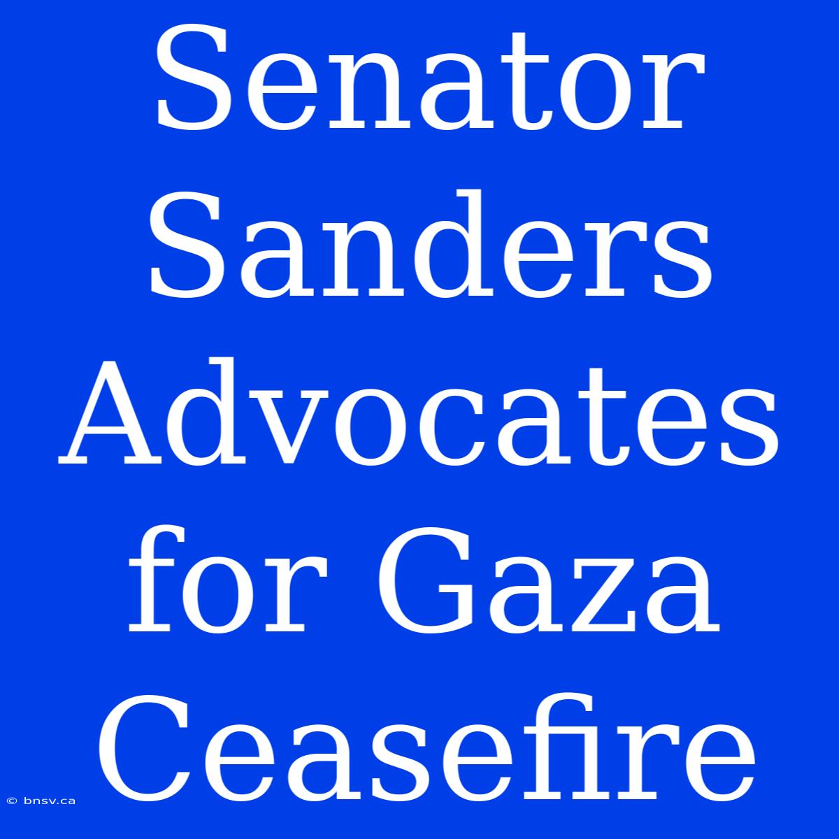 Senator Sanders Advocates For Gaza Ceasefire