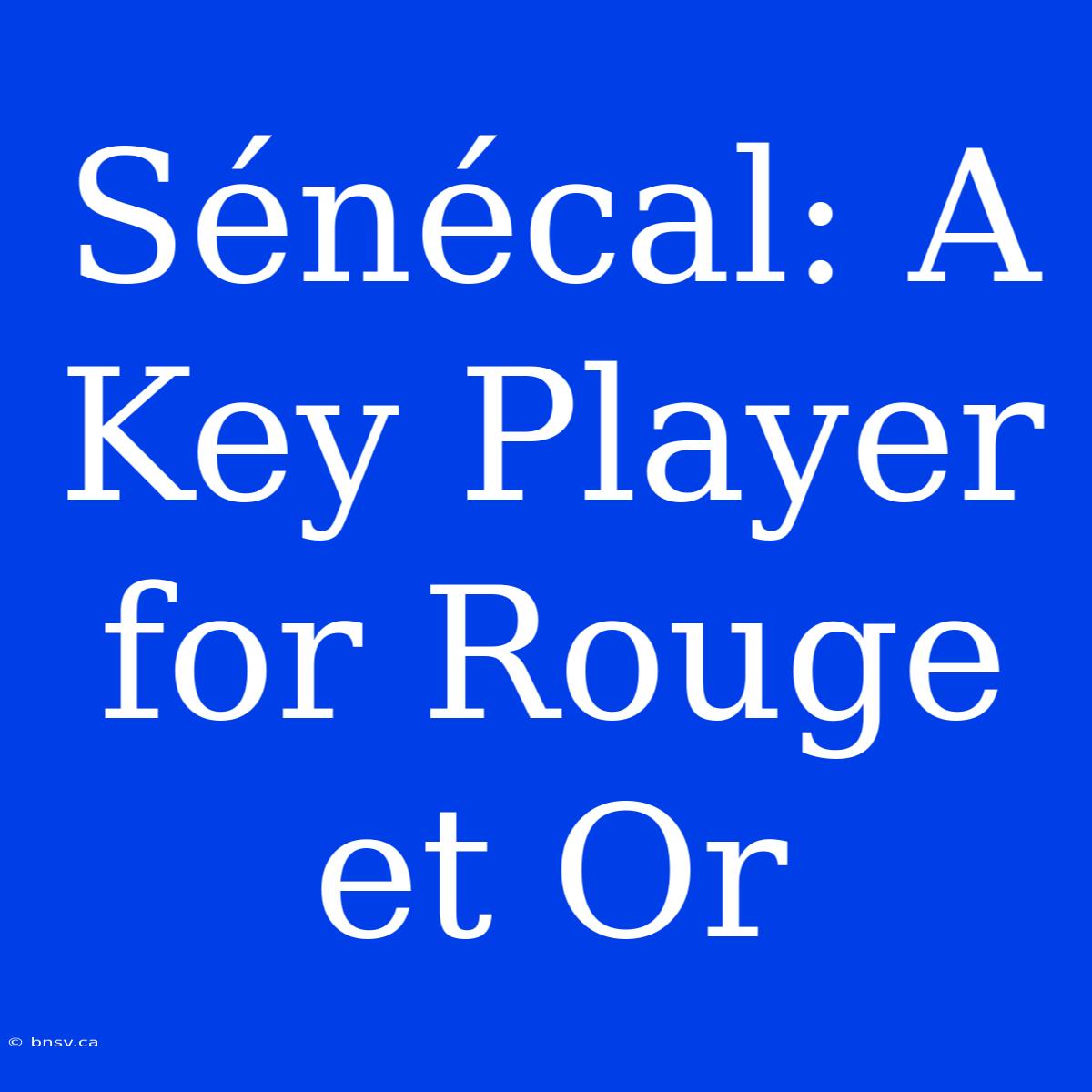 Sénécal: A Key Player For Rouge Et Or