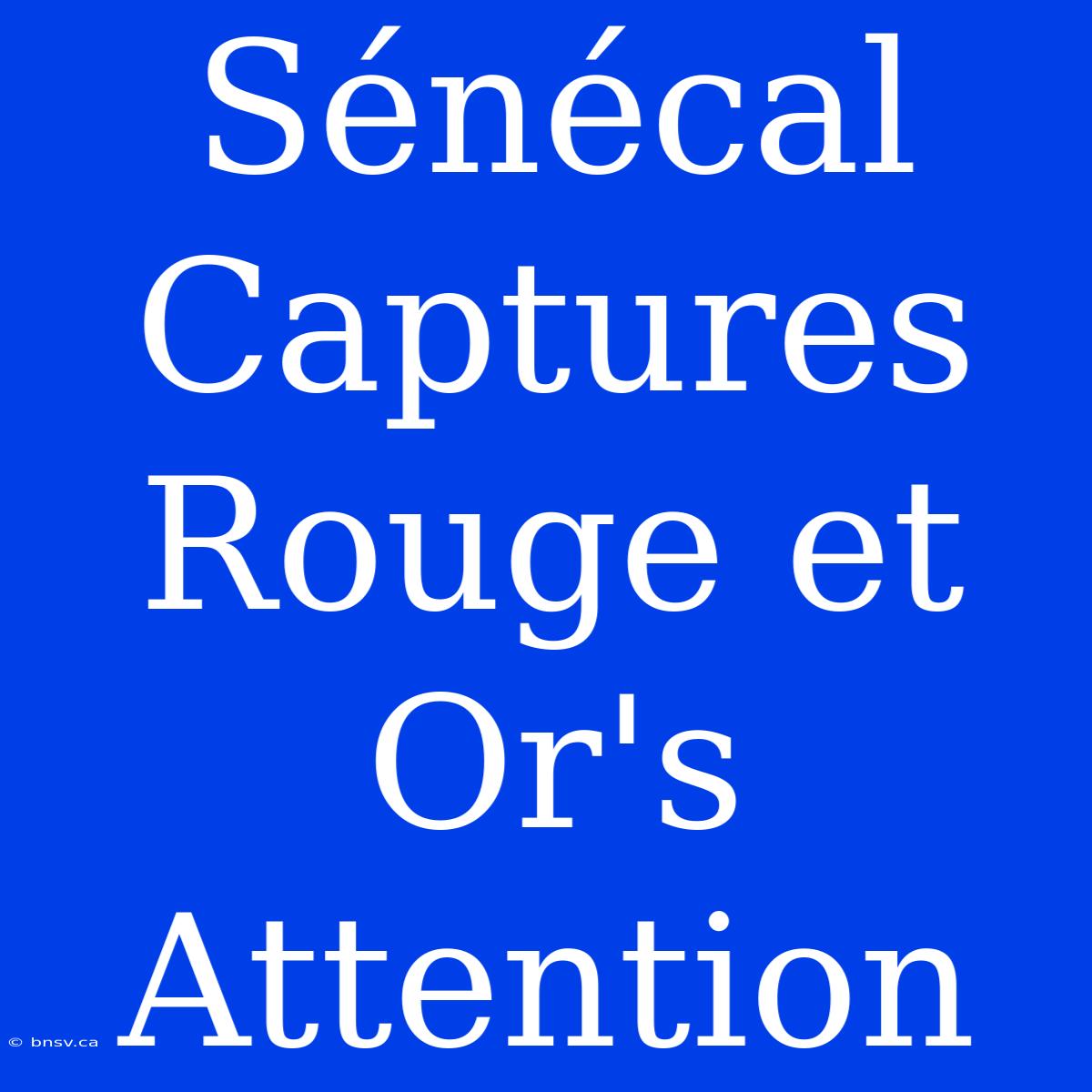 Sénécal Captures Rouge Et Or's Attention