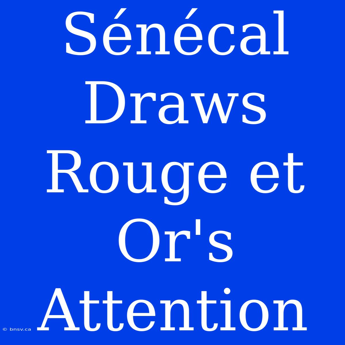 Sénécal Draws Rouge Et Or's Attention