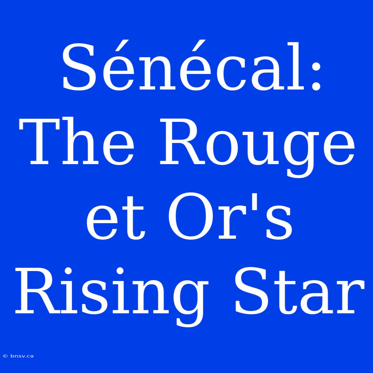 Sénécal: The Rouge Et Or's Rising Star