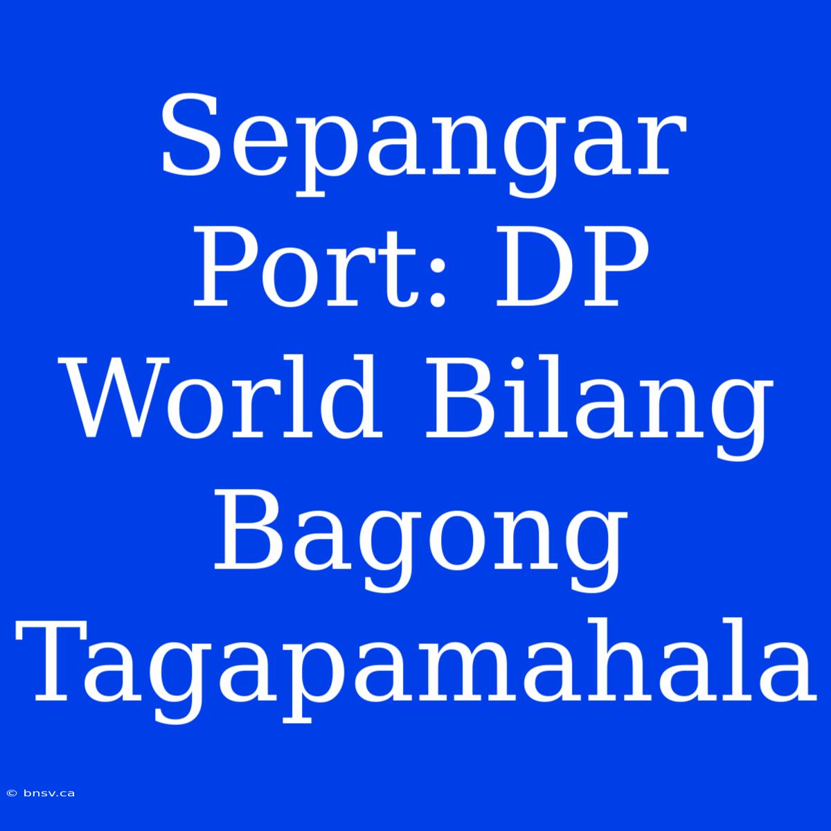 Sepangar Port: DP World Bilang Bagong Tagapamahala