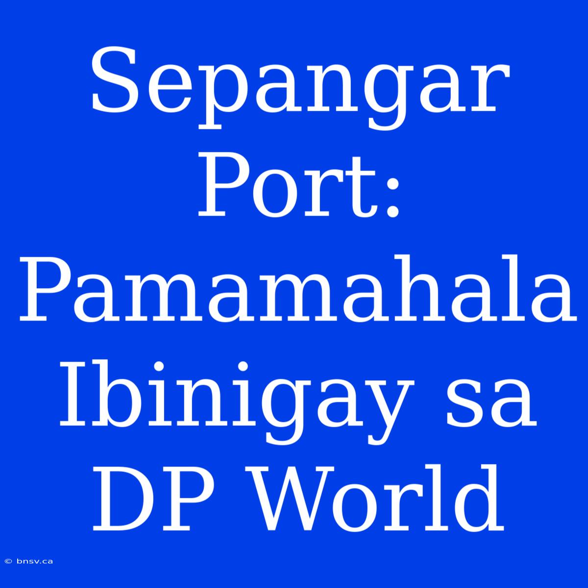 Sepangar Port: Pamamahala Ibinigay Sa DP World