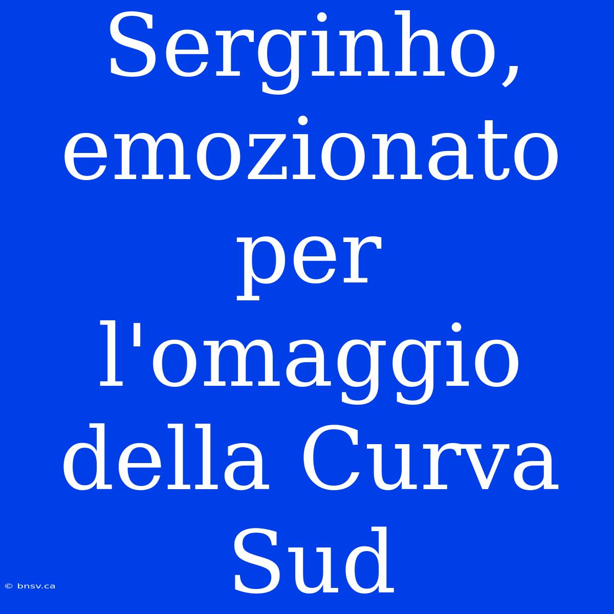 Serginho, Emozionato Per L'omaggio Della Curva Sud