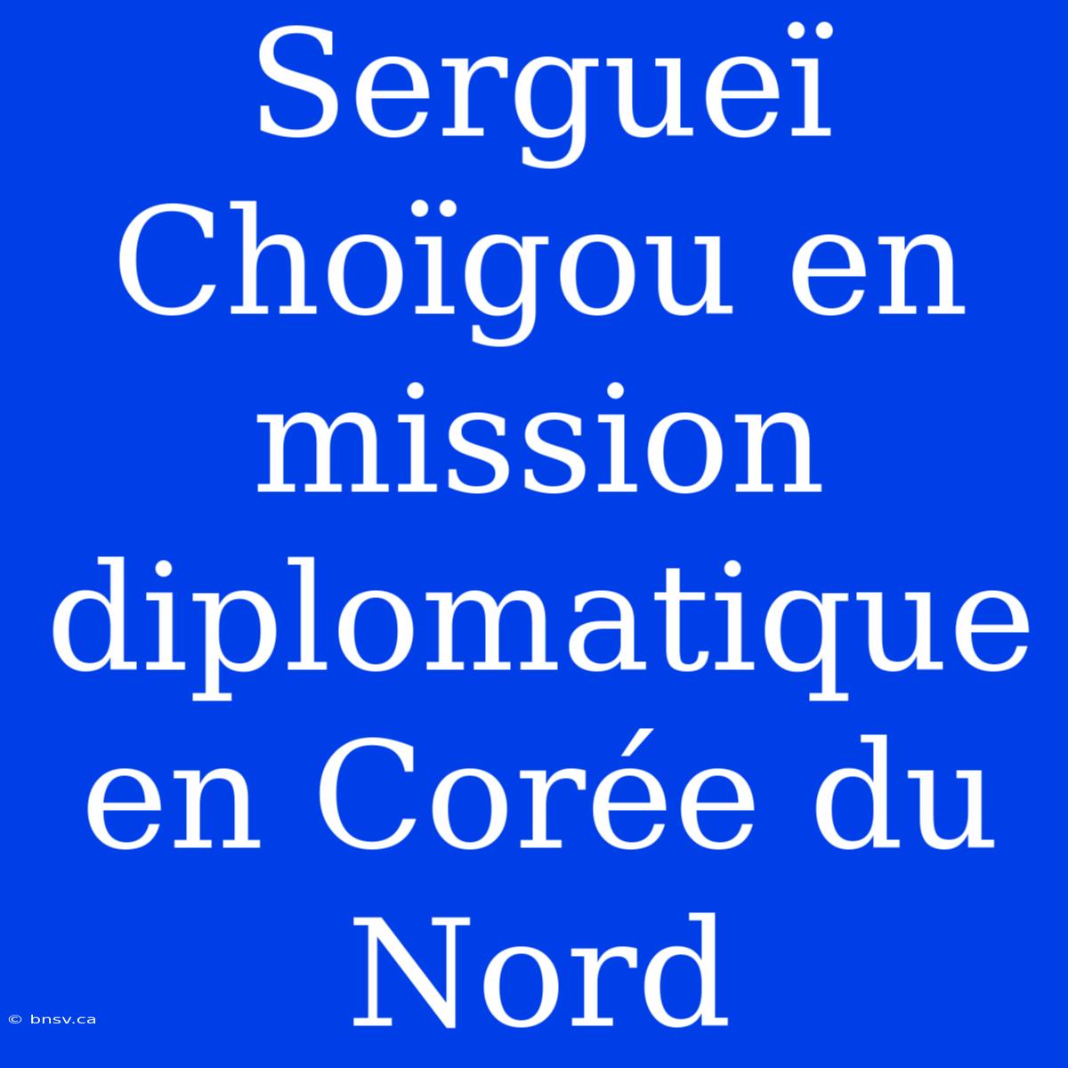 Sergueï Choïgou En Mission Diplomatique En Corée Du Nord