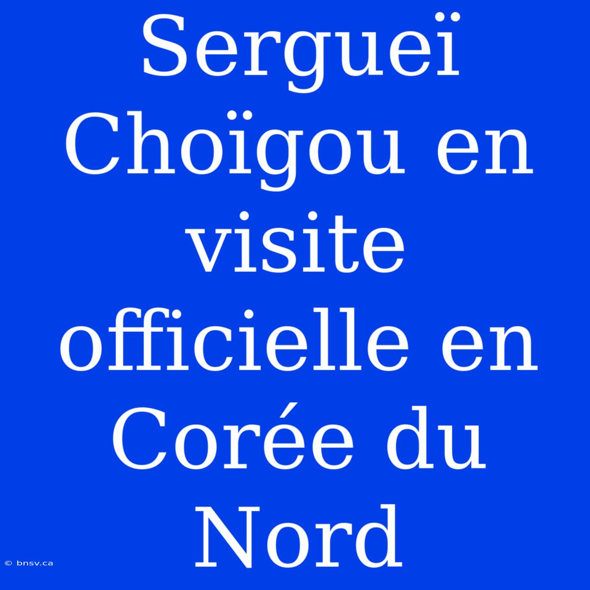 Sergueï Choïgou En Visite Officielle En Corée Du Nord