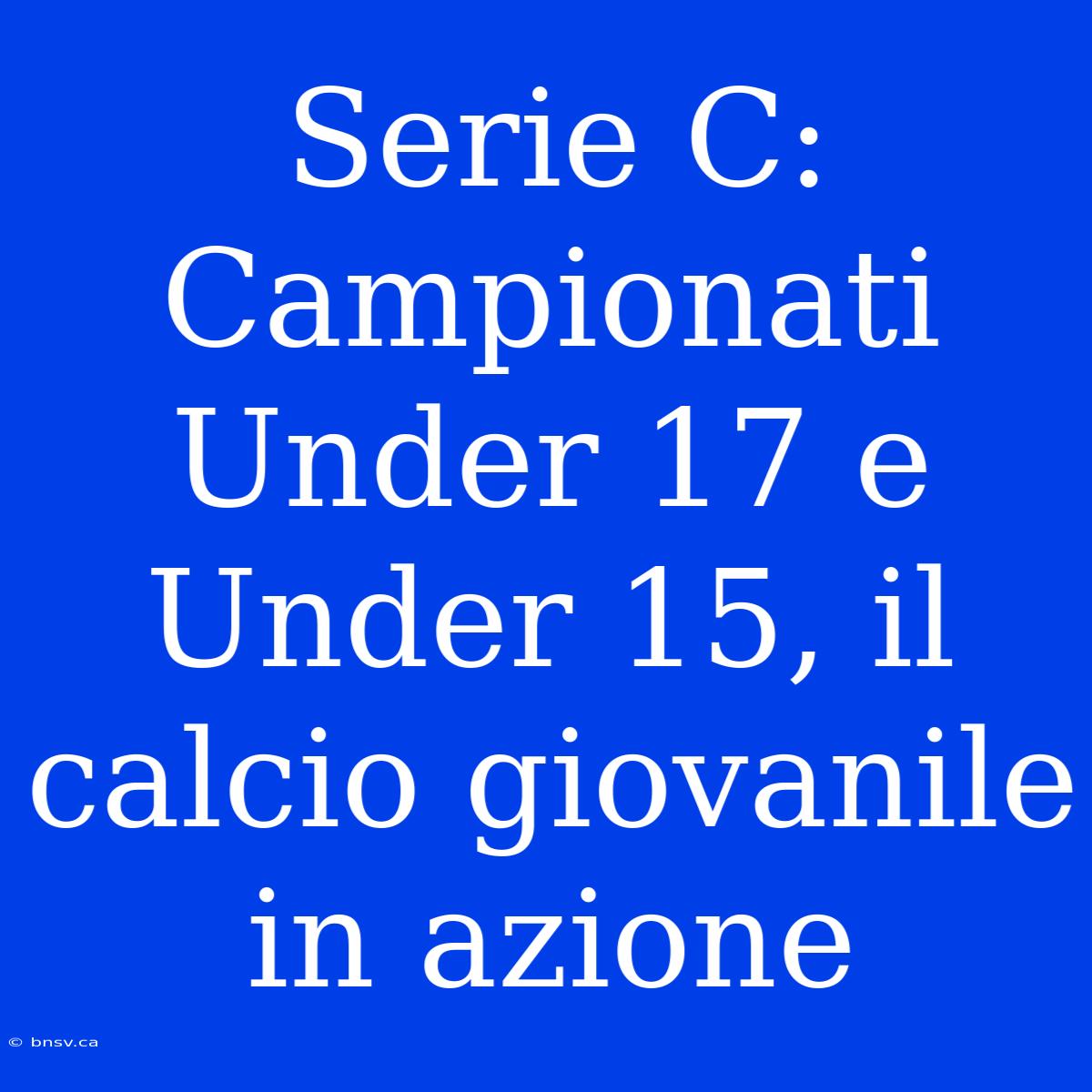 Serie C: Campionati Under 17 E Under 15, Il Calcio Giovanile In Azione