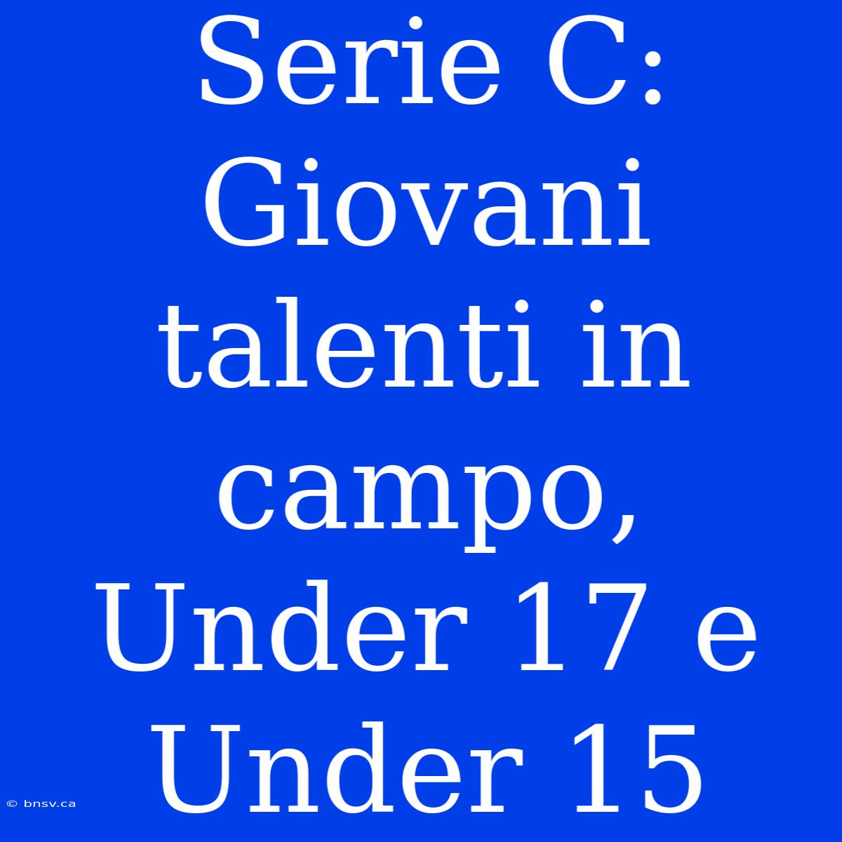 Serie C: Giovani Talenti In Campo, Under 17 E Under 15