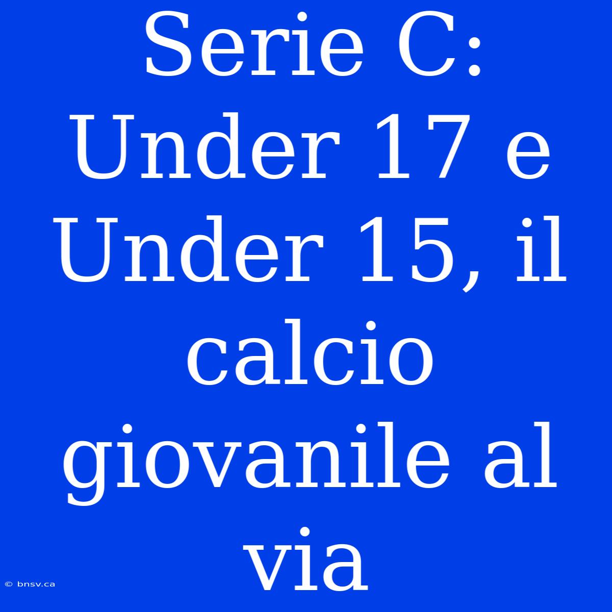 Serie C: Under 17 E Under 15, Il Calcio Giovanile Al Via