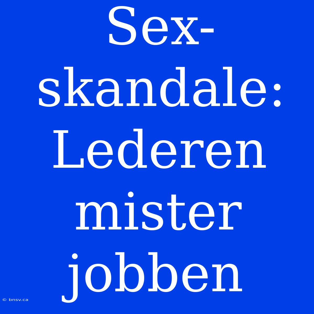 Sex-skandale: Lederen Mister Jobben