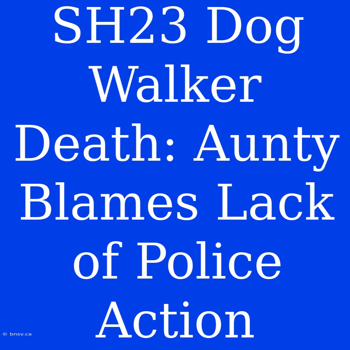 SH23 Dog Walker Death: Aunty Blames Lack Of Police Action