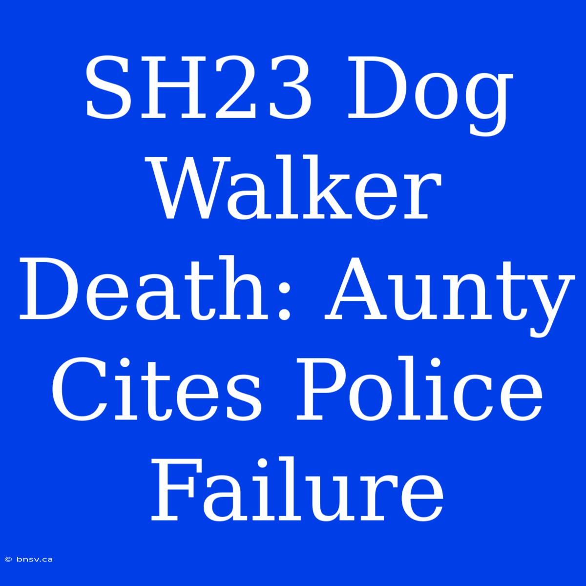 SH23 Dog Walker Death: Aunty Cites Police Failure