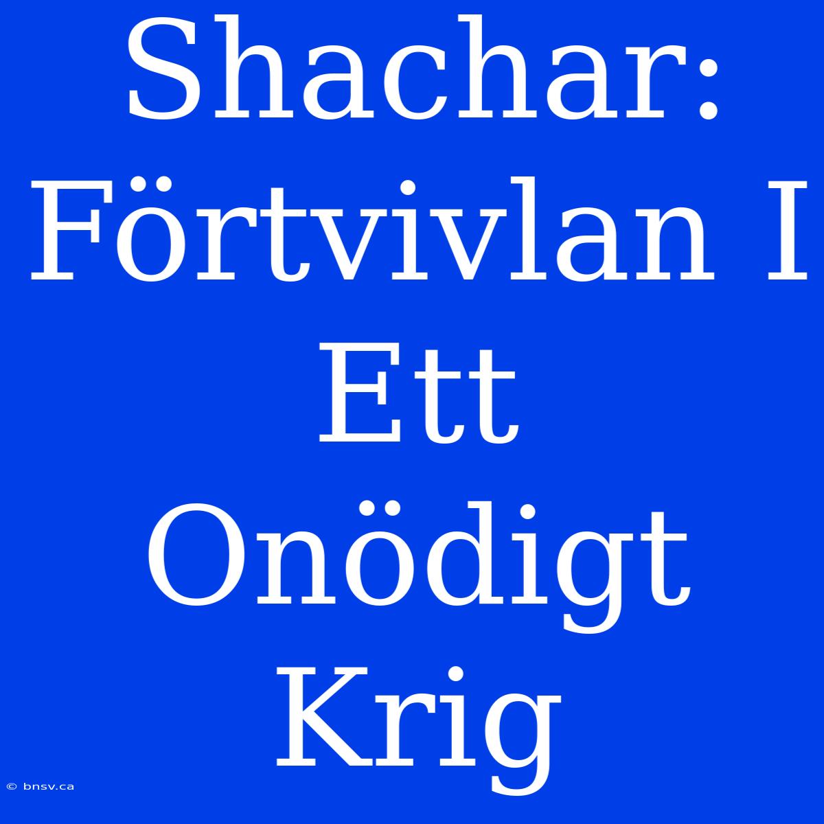 Shachar: Förtvivlan I Ett Onödigt Krig