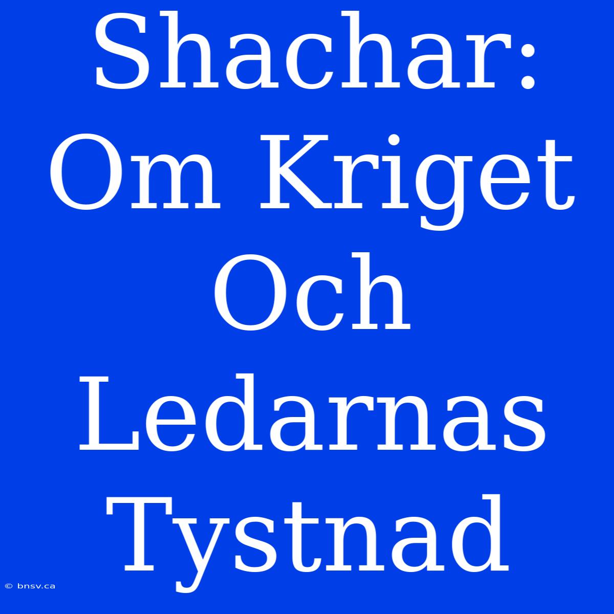 Shachar: Om Kriget Och Ledarnas Tystnad