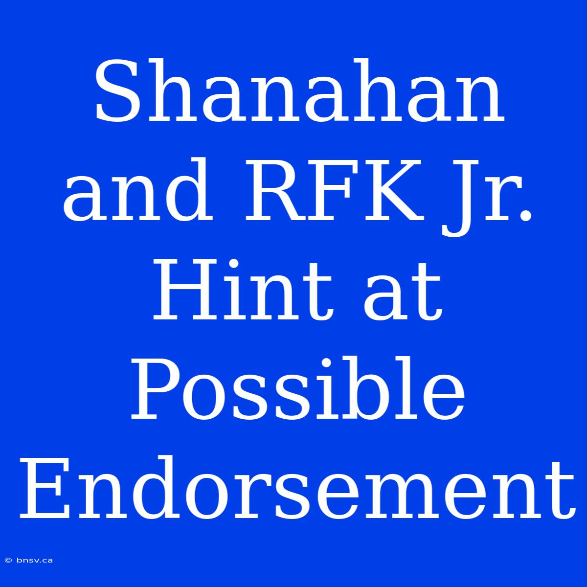 Shanahan And RFK Jr. Hint At Possible Endorsement