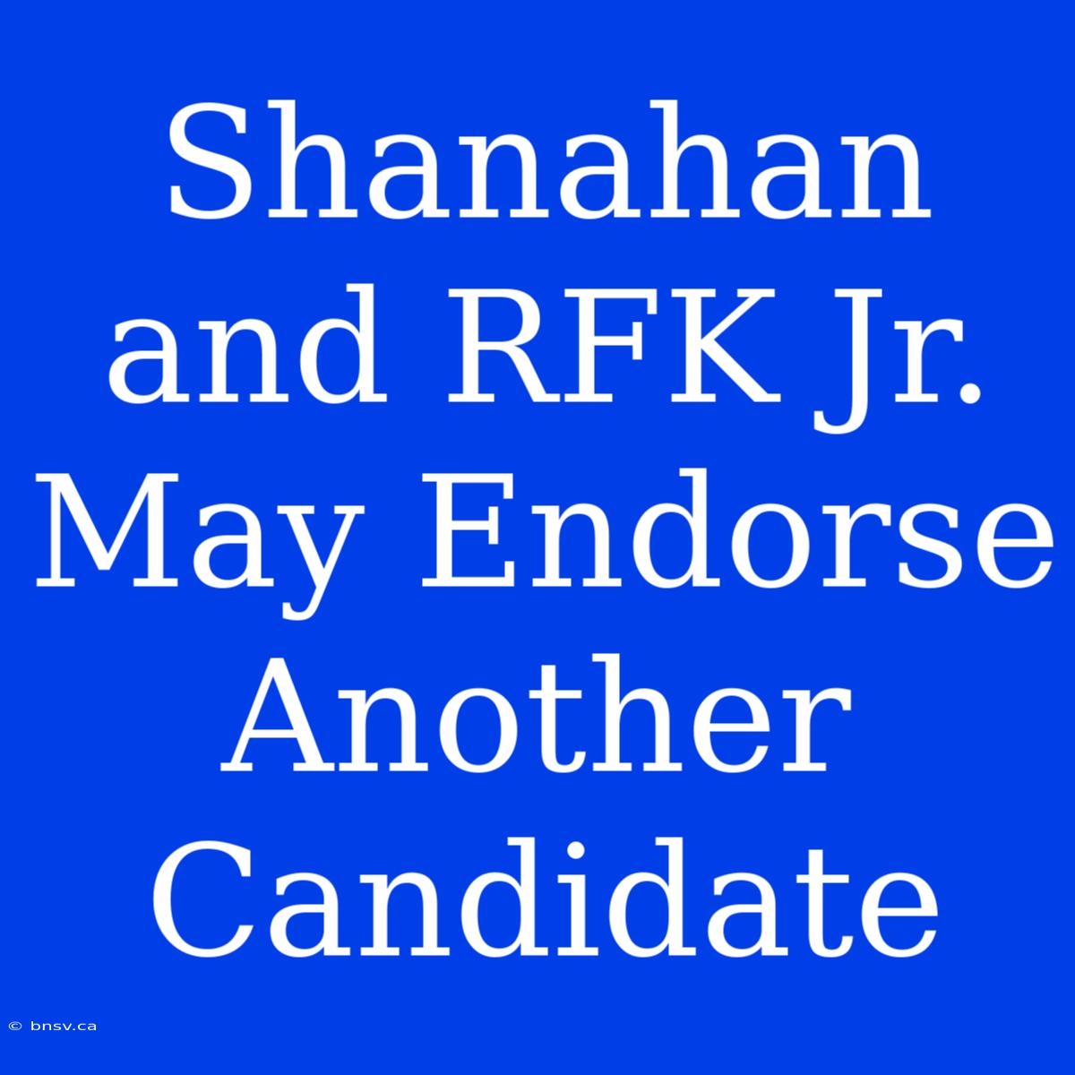 Shanahan And RFK Jr. May Endorse Another Candidate