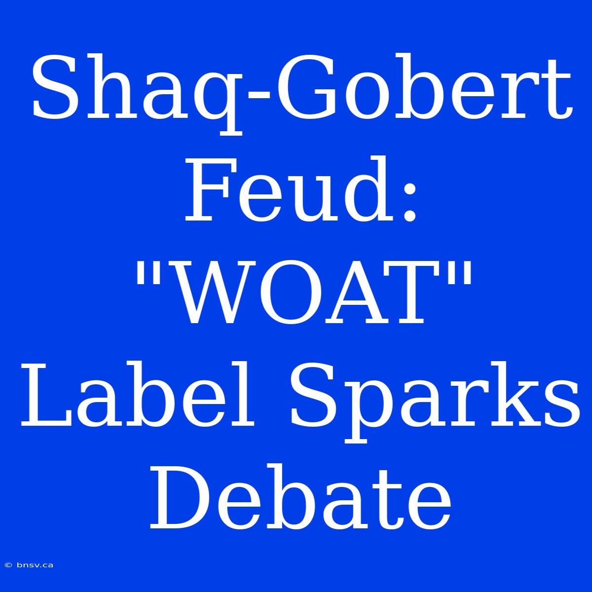 Shaq-Gobert Feud: 