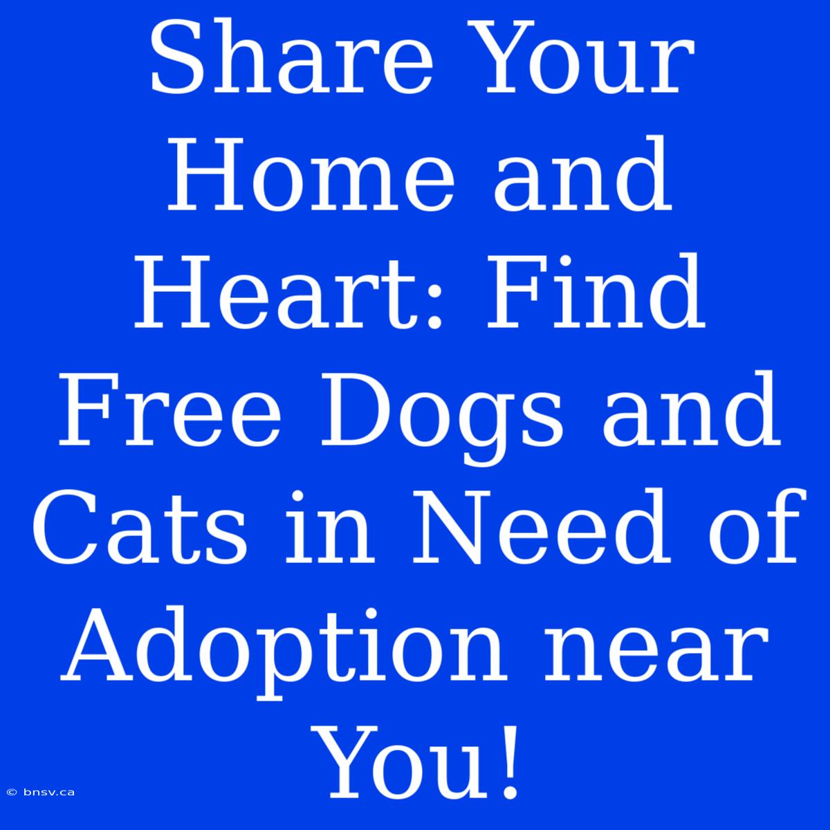 Share Your Home And Heart: Find Free Dogs And Cats In Need Of Adoption Near You!