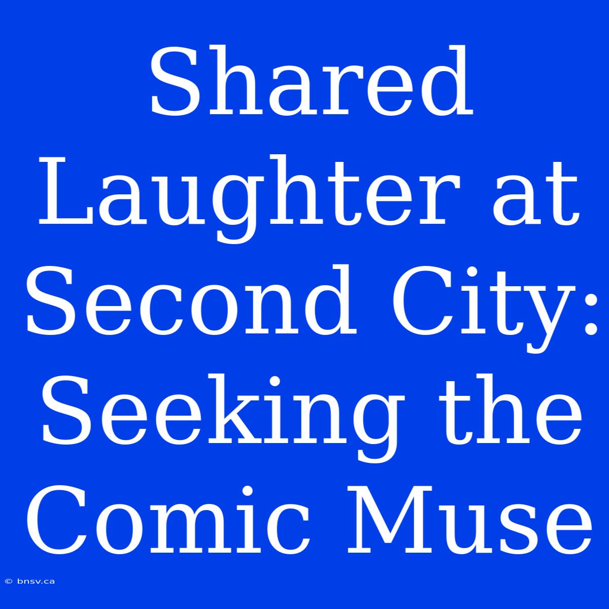 Shared Laughter At Second City: Seeking The Comic Muse