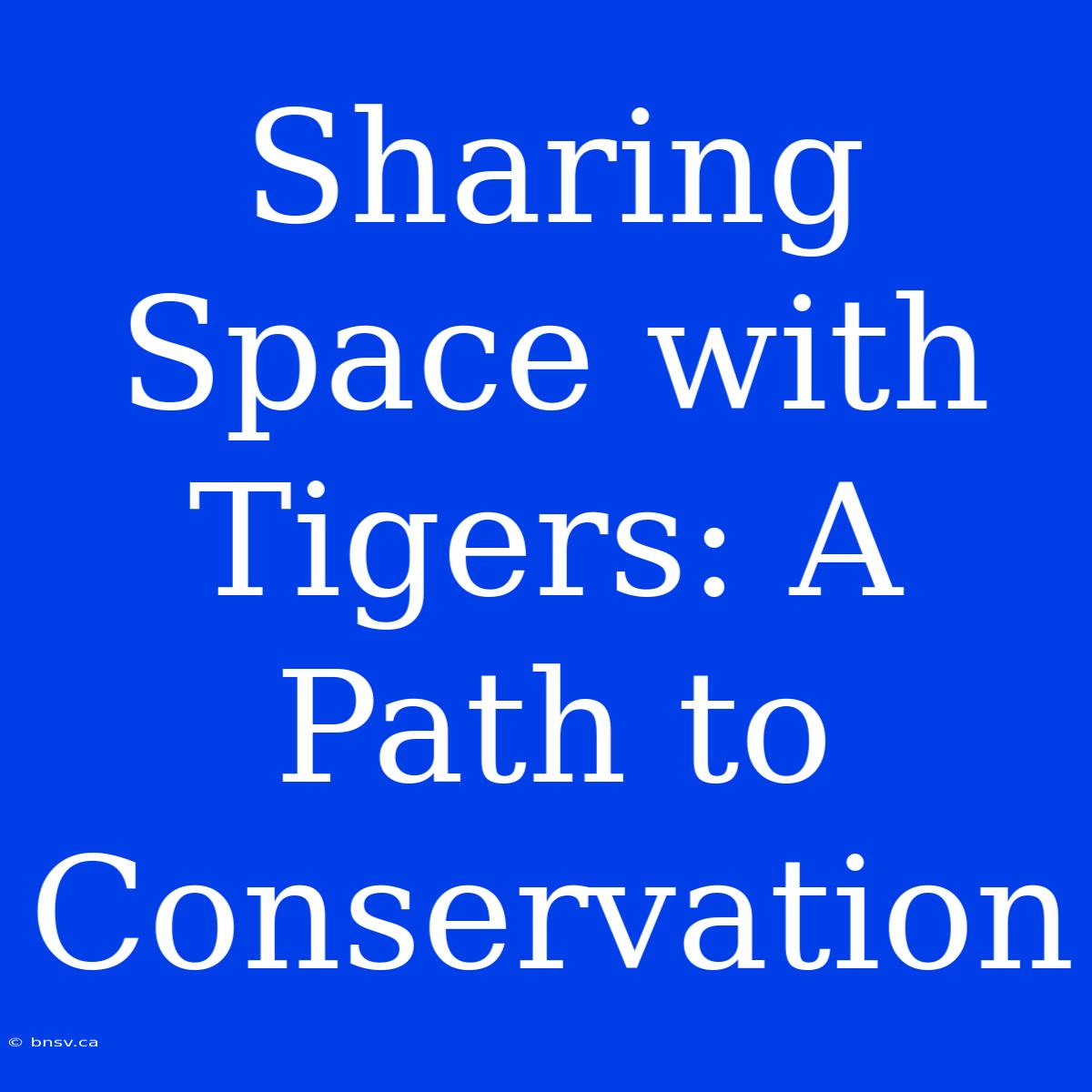 Sharing Space With Tigers: A Path To Conservation