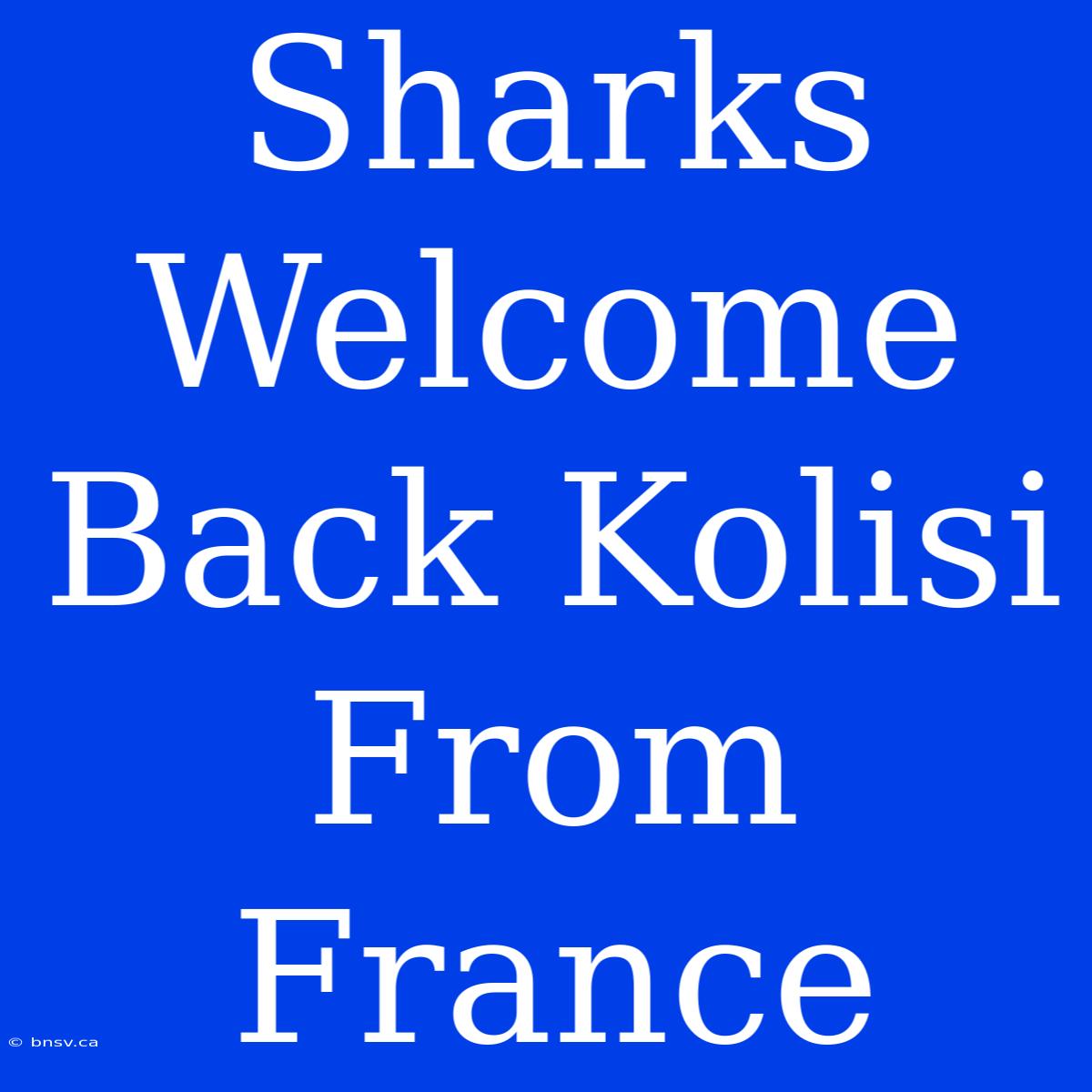 Sharks Welcome Back Kolisi From France