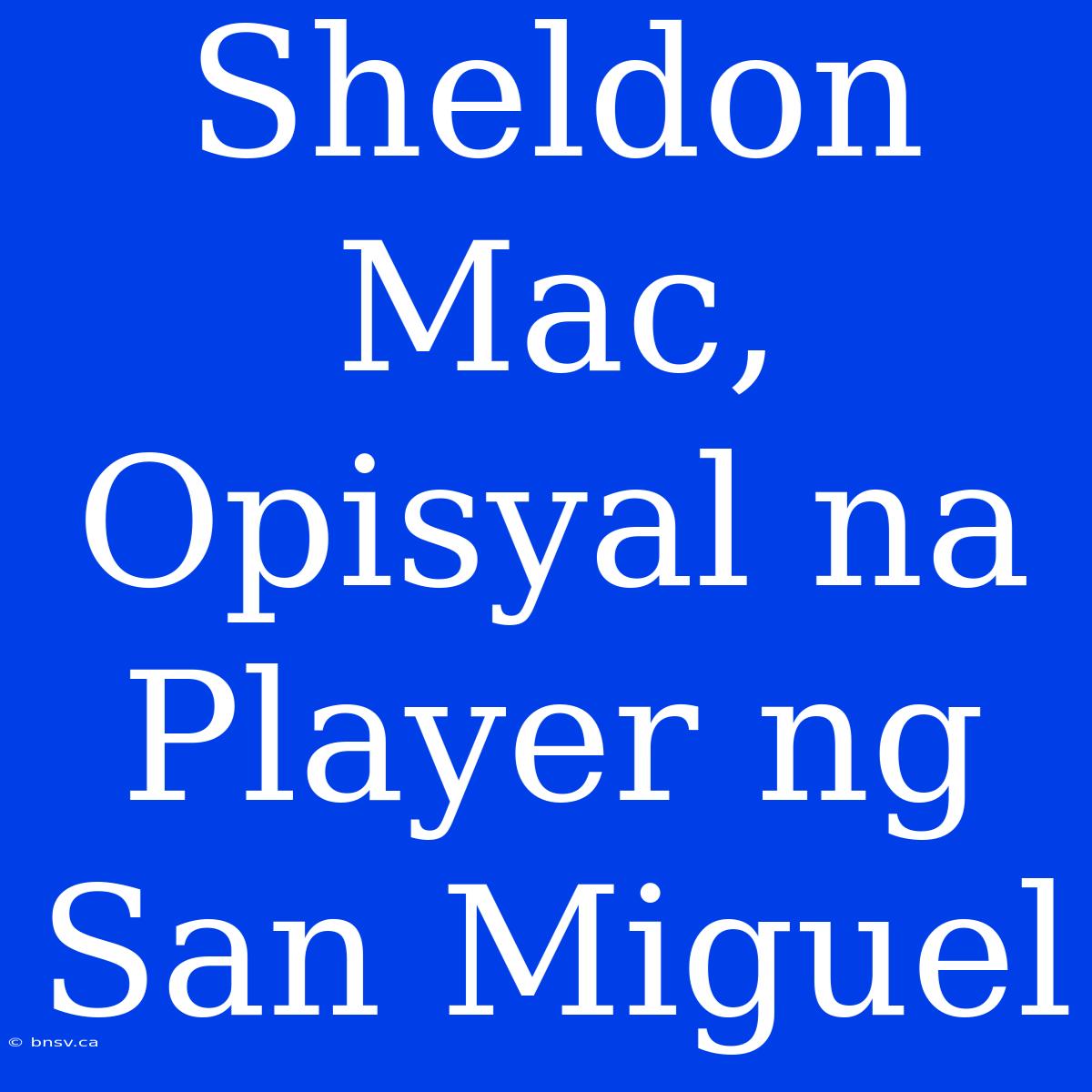 Sheldon Mac, Opisyal Na Player Ng San Miguel