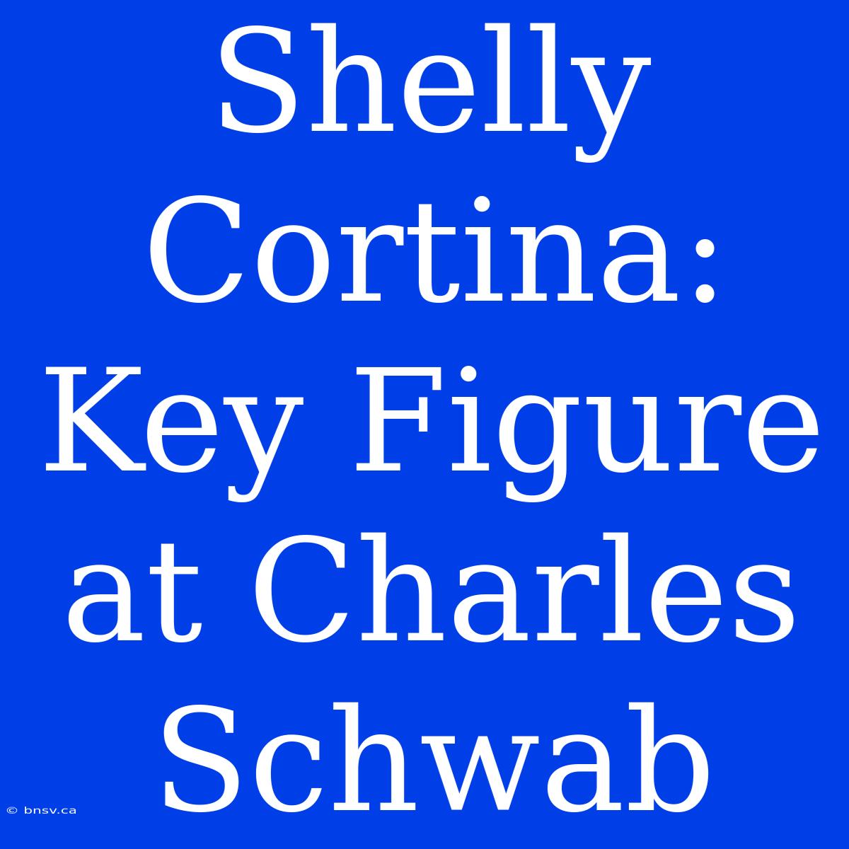 Shelly Cortina: Key Figure At Charles Schwab