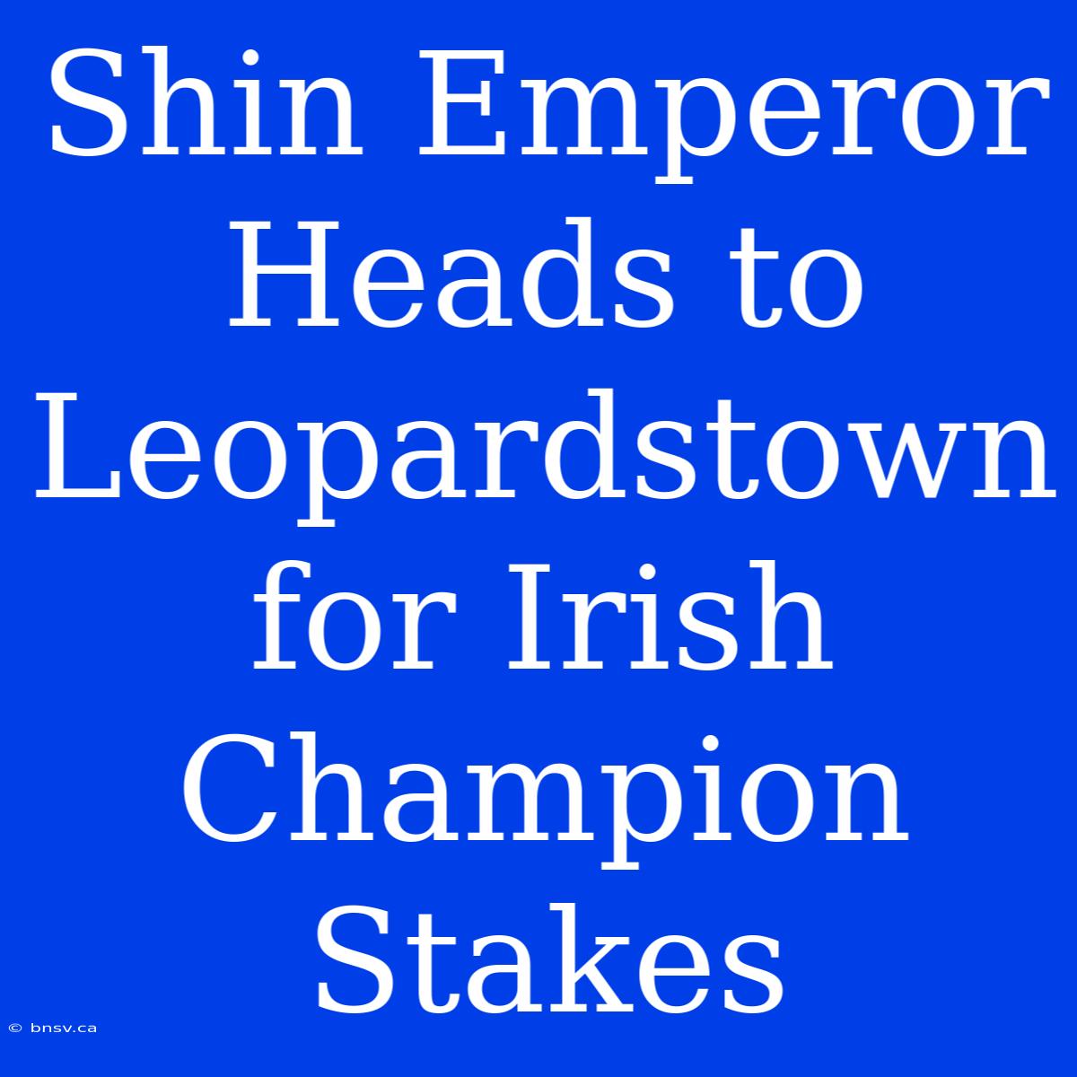 Shin Emperor Heads To Leopardstown For Irish Champion Stakes