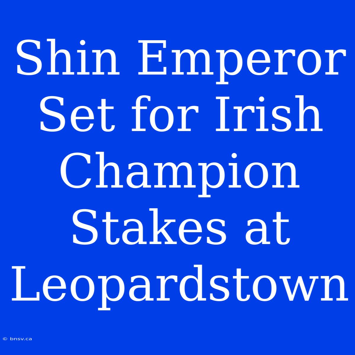 Shin Emperor Set For Irish Champion Stakes At Leopardstown