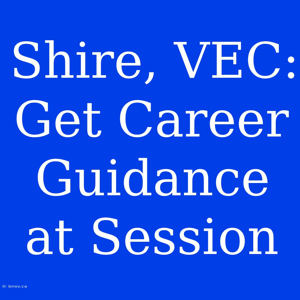 Shire, VEC:  Get Career Guidance At Session