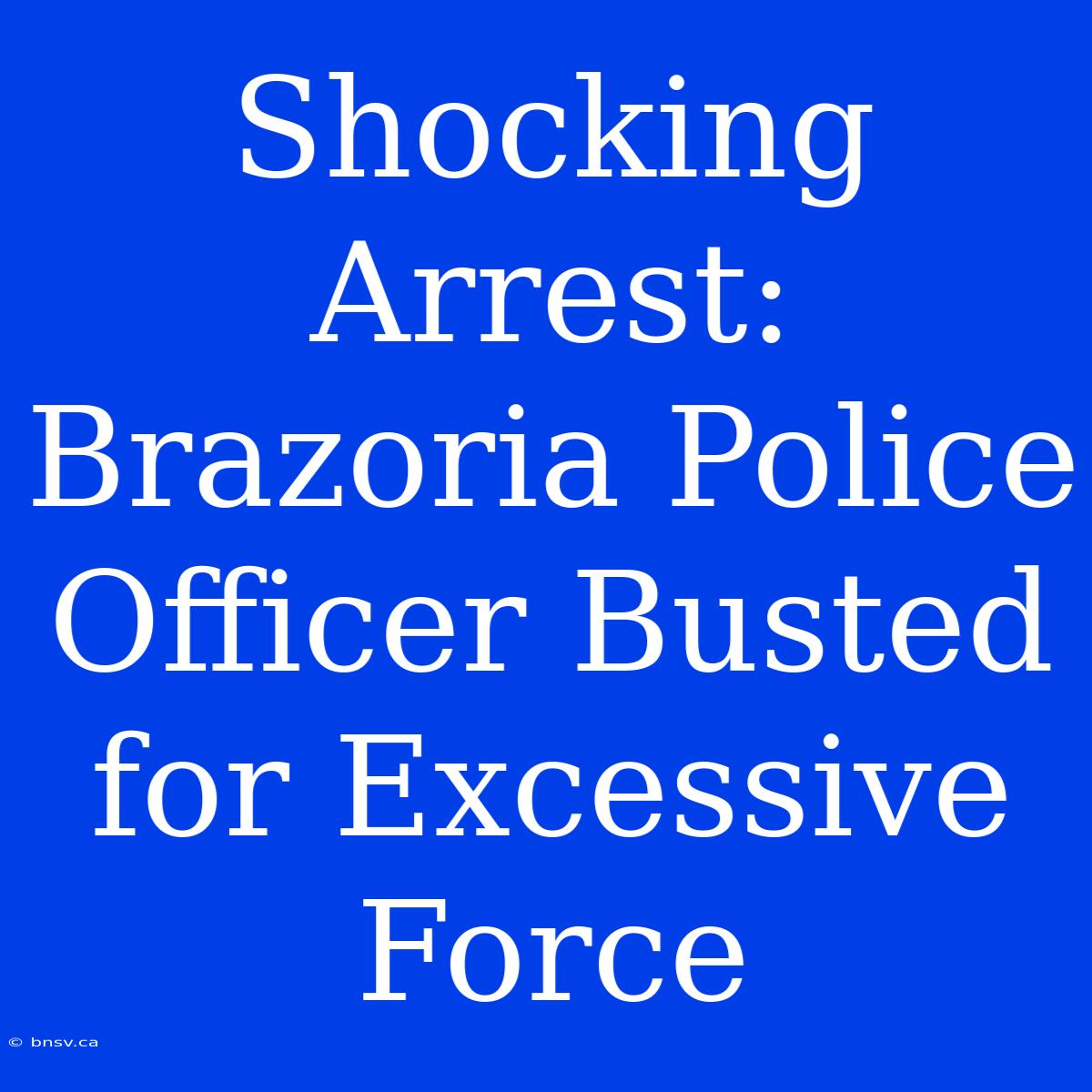 Shocking Arrest: Brazoria Police Officer Busted For Excessive Force