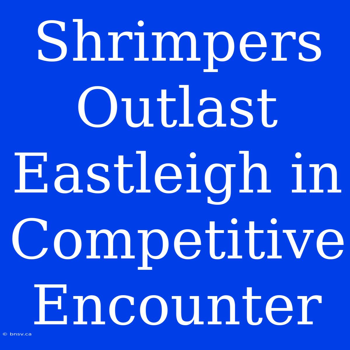 Shrimpers Outlast Eastleigh In Competitive Encounter