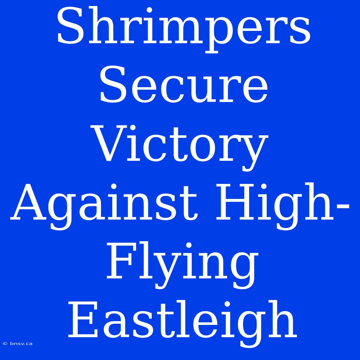 Shrimpers Secure Victory Against High-Flying Eastleigh