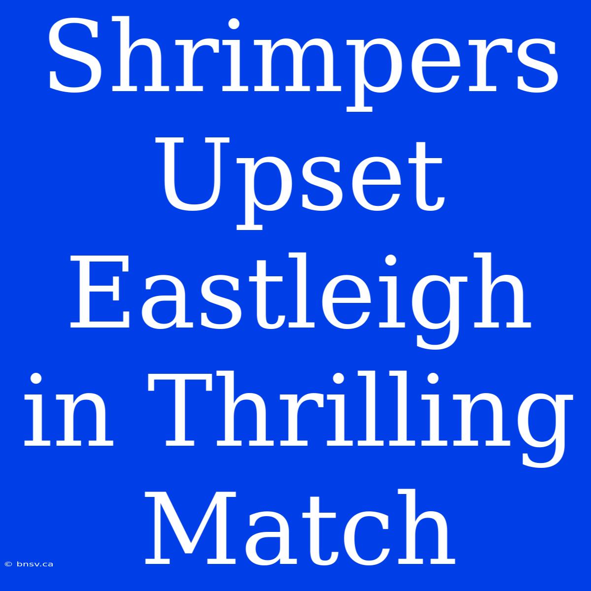 Shrimpers Upset Eastleigh In Thrilling Match