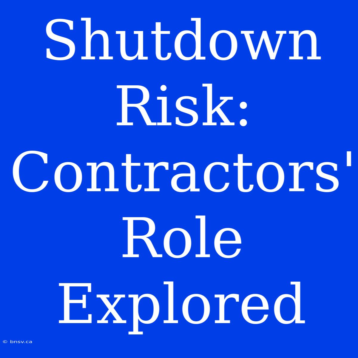 Shutdown Risk: Contractors' Role Explored