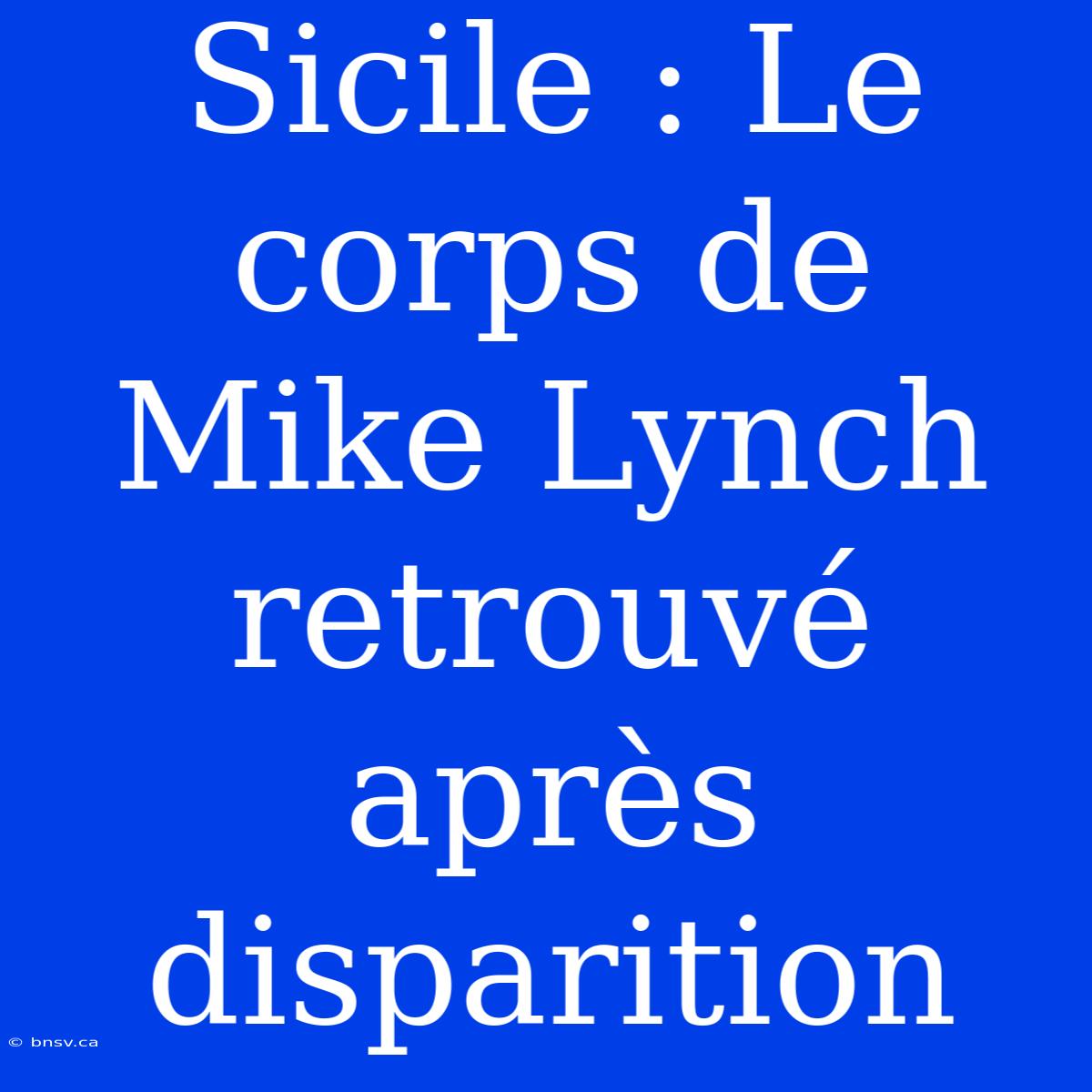 Sicile : Le Corps De Mike Lynch Retrouvé Après Disparition